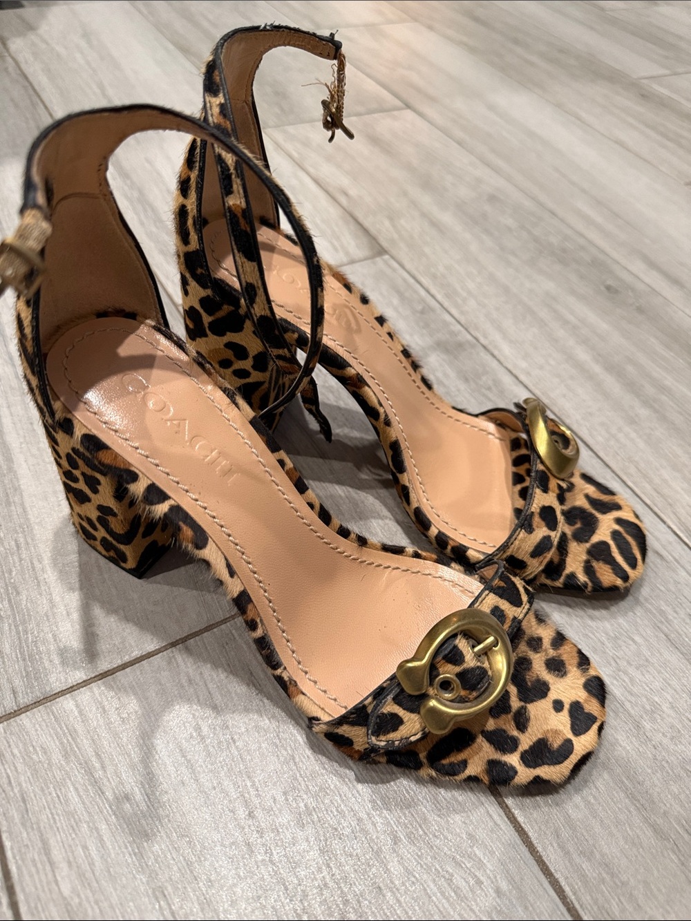 Coach Leopard-Print Block Heel Slingbacks with Gold Hardware